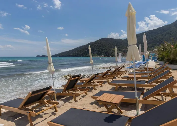 Seabird Skala Potamia (Thasos)